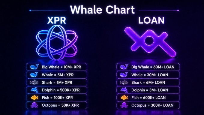 The image features two different charts or graphs with the words "XPR" and "LOAN" written above them, along with a purple circle symbolizing an XPR. Below these symbols are descriptions of the charts, including one for "Big Whale", another for "Shark", and yet another for "Dolphin". The text in the image suggests that there is a comparison between the XPR and the LOAN, possibly indicating different investment options or strategies.