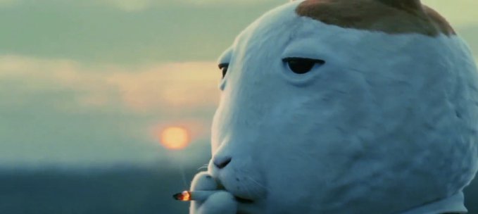 A 3D-animated white cat with an indifferent expression smoking a cigarette against a sunset background.