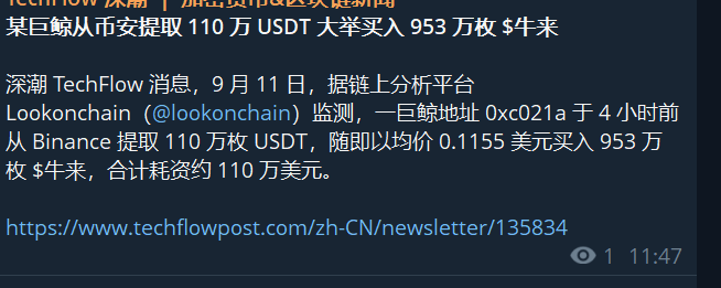 The image shows a Chinese-language news alert from TechFlow (深潮 TechFlow) reporting that a whale address 0xc021a withdrew 1.1 million USDT from Binance and used it to purchase 9.53 million $牛来 tokens at an average price of $0.1155, totaling about $1.1 million. This relates to the poster's commentary about $牛来 (NiuLai), as the article confirms that the whale "dared" to buy the token around the $0.1155 price—matching the poster's observation that most buyers entered near $0.11 rather than the lower $0.08 level, while they themselves lacked the conviction to build a position.