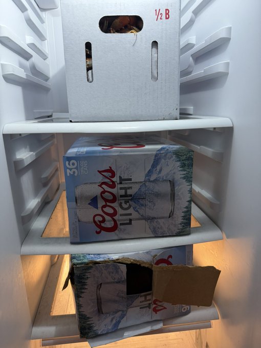 Inside a refrigerator, stacked boxes of Coors Light are visible, including one opened 36-pack on the middle shelf and a torn 18-pack below it.