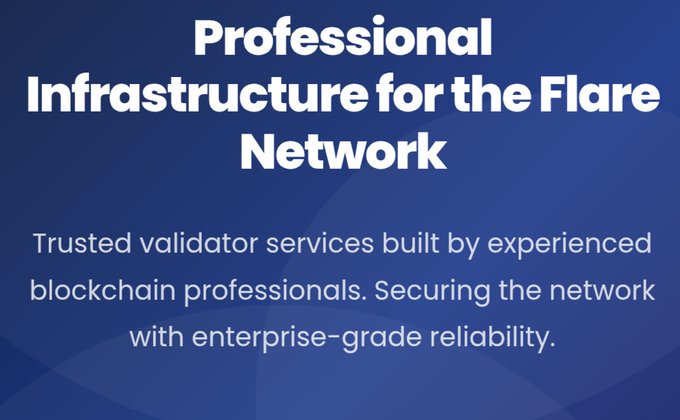 The image displays a promotional graphic titled "Professional Infrastructure for the Flare Network," claiming to offer "Trusted validator services built by experienced blockchain professionals. Securing the network with enterprise-grade reliability."

This branding directly contrasts with the post's criticism, which calls out the hypocrisy of a self-described "professional" and "enterprise-grade" validator service that allegedly launched an unadulterated example/external provider directly to mainnet—undermining their own claims of expertise and reliability.