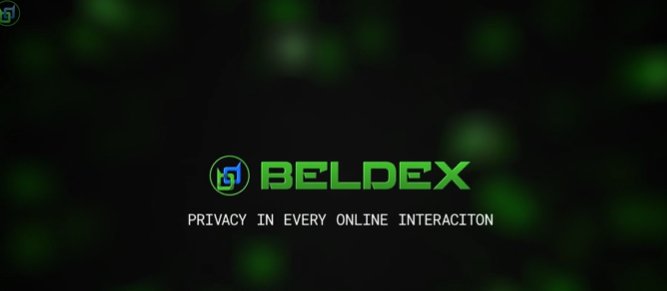 The image displays the "BELDEX" logo with a tagline reading "PRIVACY IN EVERY ONLINE INTERACTION" against a dark background with green bokeh effects, directly illustrating Beldex's core mission of providing privacy across digital communications, browsing, transactions, and identity as described in the accompanying post.
