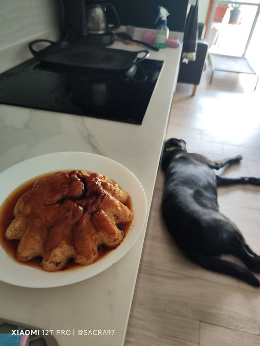 A plate of food covered in a thick brown sauce sits on a kitchen counter, with a black dog sleeping on the floor nearby; the image is watermarked 'XIAOMI 12T PRO | @SACRA97'.