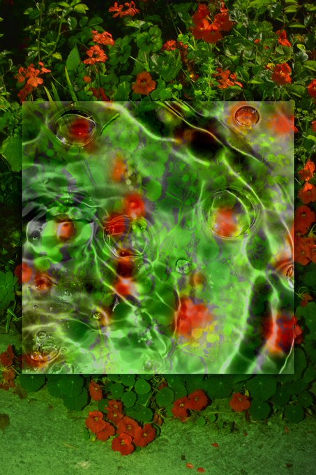 An abstract digital artwork showing a translucent green square with bubble-like circles overlaid on a background of red flowers and green leaves.