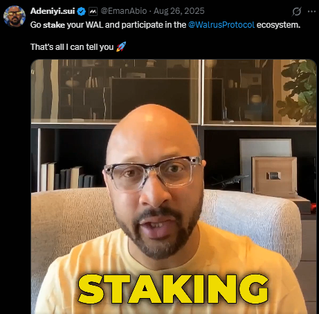 A Twitter/X post by Adeniyi.sui (@EmanAbio) dated Aug 26, 2025 reads 'Go stake your WAL and participate in the @WalrusProtocol ecosystem. That's all I can tell you,' featuring a video of a bald man with glasses and beard with 'STAKING' text overlaid.