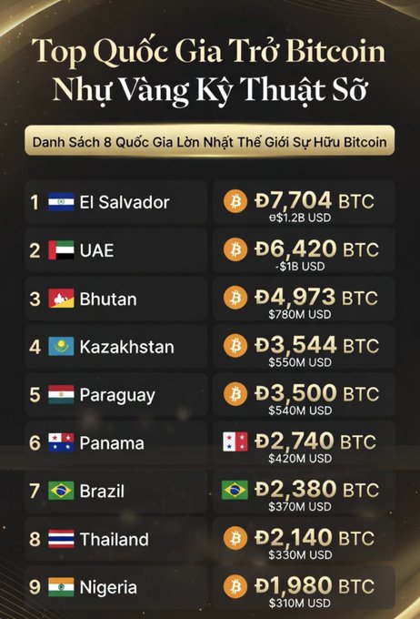 A Vietnamese infographic titled 'Top Quốc Gia Trữ Bitcoin Như Vàng Kỹ Thuật Số' listing the world's top 8 countries holding Bitcoin: El Salvador (7,704 BTC), UAE (6,420 BTC), Bhutan (4,973 BTC), Kazakhstan (3,544 BTC), Paraguay (3,500 BTC), Panama (2,740 BTC), Brazil (2,380 BTC), Thailand (2,140 BTC), and Nigeria (1,980 BTC).