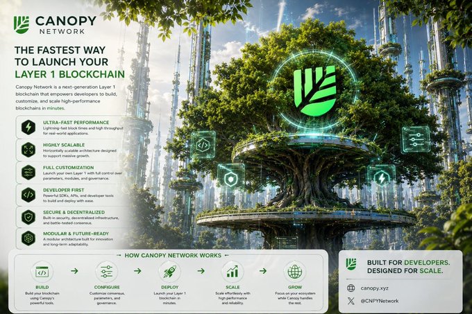 The image features a poster for a peer-to-peer network called @CNPYNetwork. The poster showcases a tree with a green leafy canopy, symbolizing the growth of ideas and projects within this network. The text on the poster highlights that the network empowers users to build their own Layer 1 blockchain in minutes instead of months, providing an alternative to traditional centralized systems.