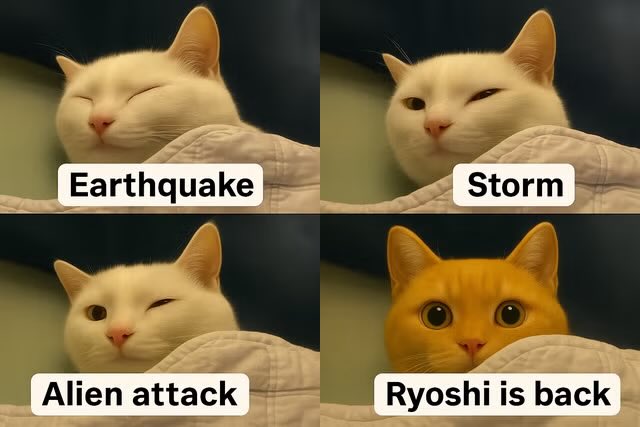 A four-panel meme shows a white cat progressively opening its eyes, labeling each stage "Earthquake," "Storm," and "Alien attack," before finally revealing a wide-eyed orange cat in the final panel captioned "Ryoshi is back"—a humorous escalation suggesting that the return of Ryoshi is the most shocking event of all.