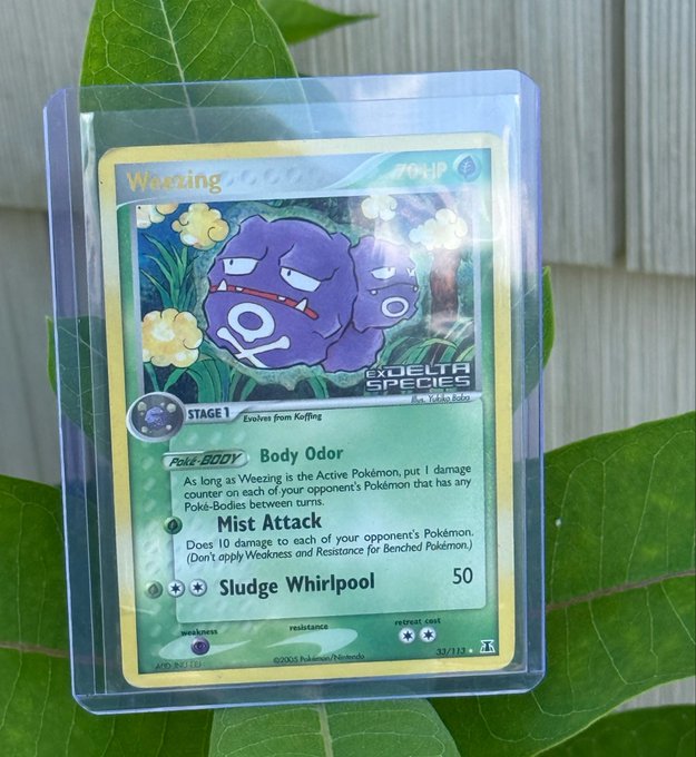A Pokémon trading card featuring two purple Weezing characters is displayed inside a clear protective sleeve, resting on green leaves against a wooden background.