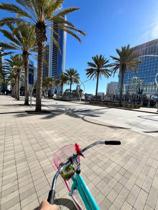 A first-person view of a teal bicycle with a pink basket parked on a palm tree-lined promenade, with modern skyscrapers visible in the background.