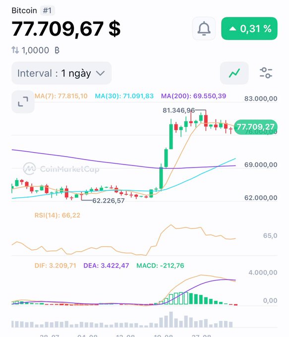 CoinMarketCap chart for Bitcoin (#1) showing a price of 77,709.67 $, up 0.31%, with MA(30) at 71,091.83, MA(200) at 69,550.39, and RSI(14) at 66.22.