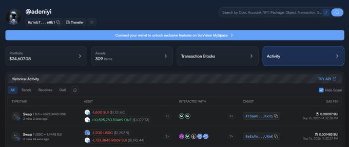 Screenshot of a BullVision MySpaces wallet dashboard for user @adeniyi showing portfolio value of $24,607.08, 309 items, and historical swap activity including exchanges of SUI and ONE tokens.