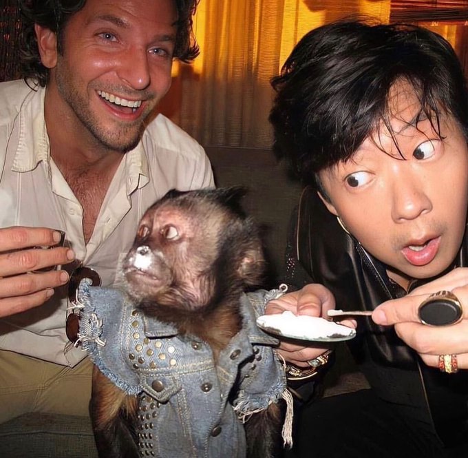 A man and woman smile beside a small capuchin monkey wearing a studded denim vest as they feed it from a spoon. The image accompanies a post from "t.me/APENOW" teasing their audience with "Yall ready?" — fittingly referencing the playful ape theme.