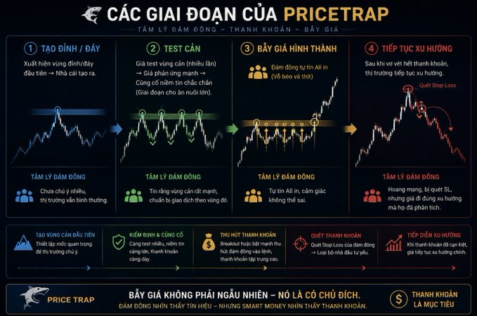 An infographic in Vietnamese titled 'CÁC GIAI ĐOẠN CỦA PRICETRAP' explaining the stages of a 'price trap' in trading, including 'TẠO ĐỈNH / ĐÁY' (Top/Bottom creation), 'TEST CẢN' (Resistance test), 'BẪY GIÁ HÌNH THÀNH' (Price trap formation), and 'TIẾP TỤC XU HƯỚNG' (Trend continuation).