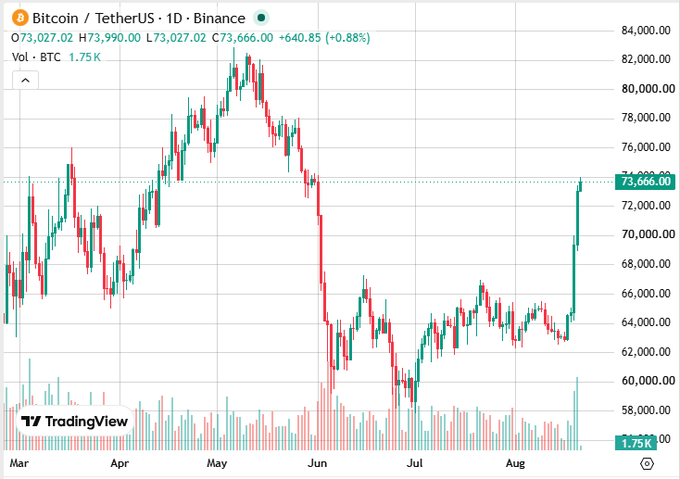 TradingView daily chart of Bitcoin/TetherUS (BTCUSDT) on Binance showing price at 73,666.00 (+0.88%), with a strong rally from mid-August visible on the 1D timeframe.