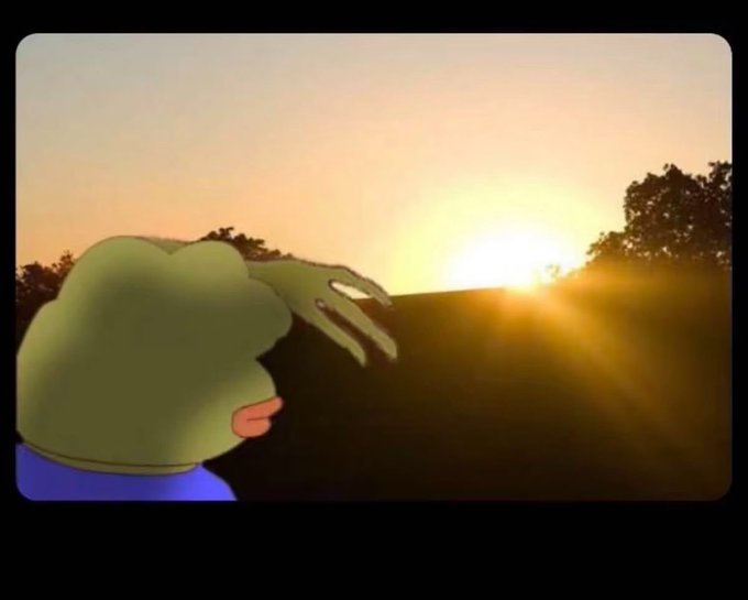 An animated Pepe the Frog looks out at a bright sunset or sunrise over a silhouetted landscape.