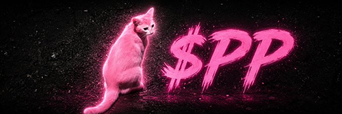 A pink-tinted cat sitting against a black background next to the stylized text "$PP" in bright pink brushstroke font.