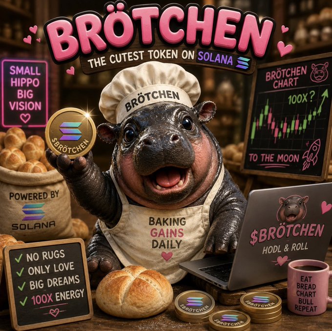 A meme-style promotional image for '$BRÖTCHEN - THE CUTEST TOKEN ON SOLANA' featuring a baby hippo in a chef's hat holding a Solana coin, with text like 'BAKING GAINS DAILY' and 'NO RUGS, ONLY LOVE, BIG DREAMS, 100X ENERGY'.