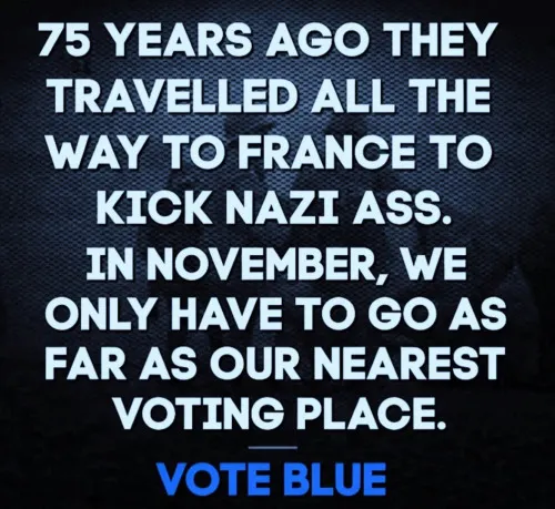 A motivational political graphic with bold white text reading "75 YEARS AGO THEY TRAVELLED ALL THE WAY TO FRANCE TO KICK NAZI ASS. IN NOVEMBER, WE ONLY HAVE TO GO AS FAR AS OUR NEAREST VOTING PLACE" with "VOTE BLUE" in blue at the bottom, set against a dark starry background. The "Good morning" post pairs with this Veterans Day/election-themed reminder to vote Democratic in November.