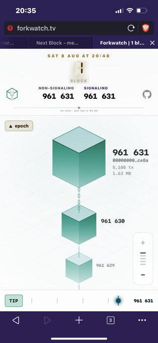 A screenshot of the forkwatch.tv blockchain monitoring website displaying block 961,631, timestamped "SAT 8 AUG AT 20:48," with non-signaling and signaling block counts both showing 961,631, visually representing that all blocks mined in the chain so far have been compliant.