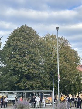 An outdoor scene showing a large, full green tree next to a tall lamppost under a cloudy sky, with people gathered around a small bus stop or shelter in the foreground.