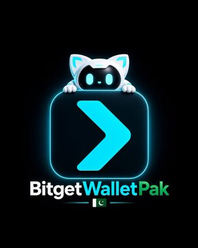 A logo on a black background featuring a stylized white and blue cat character peeking over a glowing blue rounded square icon with a '>' symbol, above the text 'BitgetWalletPak' and a small Pakistani flag.