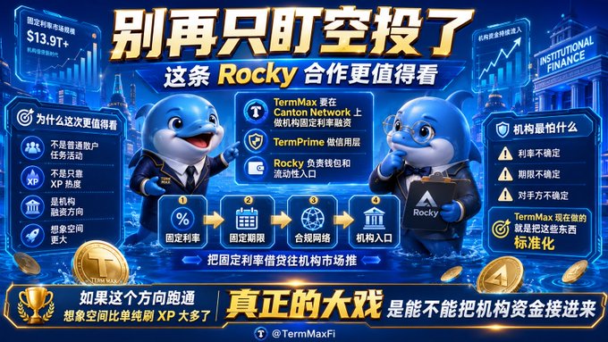 The image is a vibrant blue promotional graphic for TermMax and Rocky, featuring two dolphin mascots, highlighting a partnership on Canton Network for institutional fixed-rate financing, with TermPrime handling credit and Rocky managing wallets and liquidity, emphasizing key benefits like fixed interest rates, fixed terms, and institutional entry.