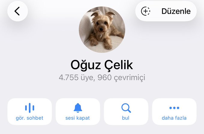 The image shows a Telegram group info page for "Oğuz Çelik" featuring a Yorkshire Terrier as the profile picture, with 4,755 members and 960 online users, along with options for voice chat, muting, searching, and more. This appears to be the Telegram group referenced in the post, which discusses analyzing movements on the platform, with "çevrimiçi" (online) and "üye" (member) counts highlighting active engagement.