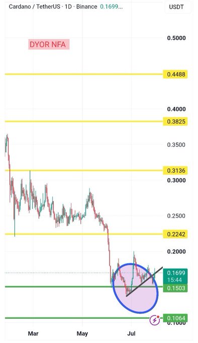 A Cardano (ADA/USDT) daily chart on Binance shows price trading around $0.1699 after a sharp sell-off, with a highlighted zone between roughly $0.1503 and $0.1699 marked as a base of higher lows and key support above the deeper support at $0.1064 and below major resistance levels at $0.2242, $0.3136, $0.3825, and $0.4488—visually reinforcing the post's view of ADA transitioning from panic selling into a constructive accumulation phase within the major demand zone.