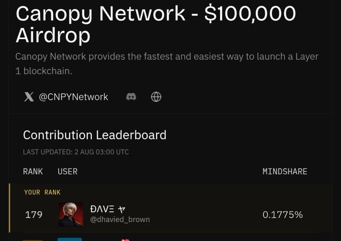 A webpage for a Canopy Network $100,000 Airdrop showing a contribution leaderboard where user 'DAVE (@dhavied_brown)' is ranked 179 with 0.1775% mindshare.