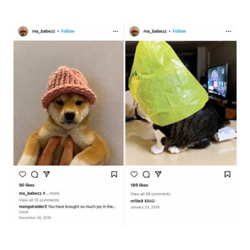 This image features two Instagram posts, one of a dog in a hat and the other of a cat with a plastic bag over its head, with the latter captioned "$BAG coin" and posted on January 23, 2019, suggesting a possible inspiration for the cryptocurrency's name and value.