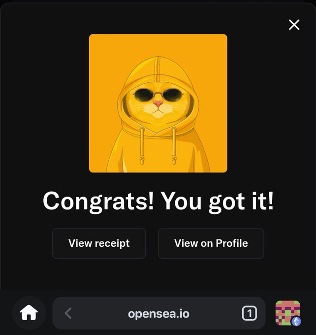 A mobile screen showing a yellow hooded cat NFT on OpenSea with the text 'Congrats! You got it!' and buttons for 'View receipt' and 'View on Profile'.