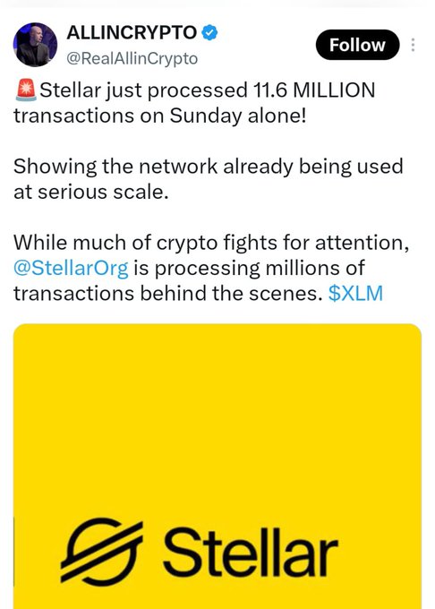 A screenshot of a tweet from @RealAllinCrypto announcing that the Stellar (XLM) network processed 11.6 million transactions on Sunday, shown alongside a yellow Stellar logo graphic. The post relates to the accompanying message by promoting XLM as a recommended cryptocurrency to buy, aligning with the claim of Stellar's large-scale network usage.