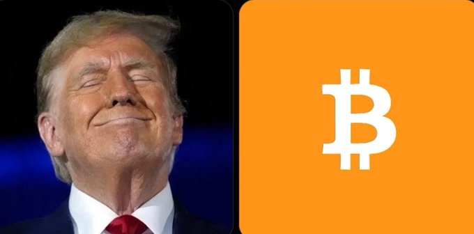 This image shows a split of Donald Trump on the left and the Bitcoin logo on the right, likely illustrating a proposed U.S. investment in Bitcoin.