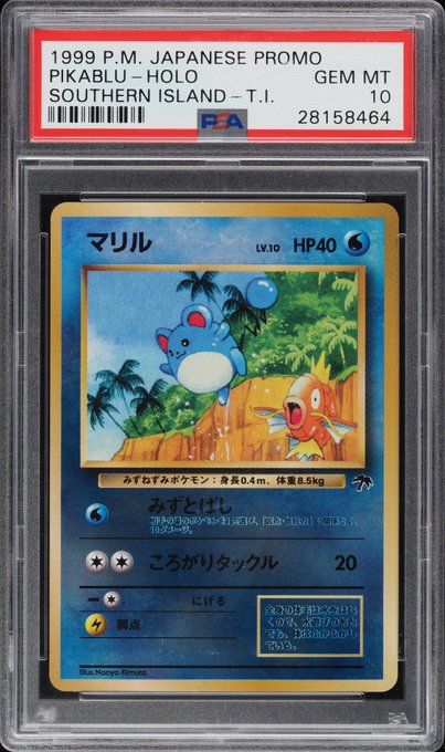 A graded PSA 10 'Gem Mint' holographic Japanese promo Pokémon card from 1999 features Marill ('マリル') at LV.10 with 40 HP, illustrated by Naoyo Kimura.