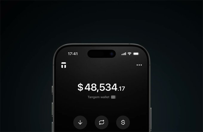 The image shows a smartphone displaying the Tangem wallet app interface with a balance of $48,534.17 in a Tangem wallet, featuring quick-access buttons for sending, swapping, and receiving at the bottom of the screen. This visual reinforces the post's point about the app's streamlined, one-screen accessibility, showing all essential portfolio information immediately upon opening.