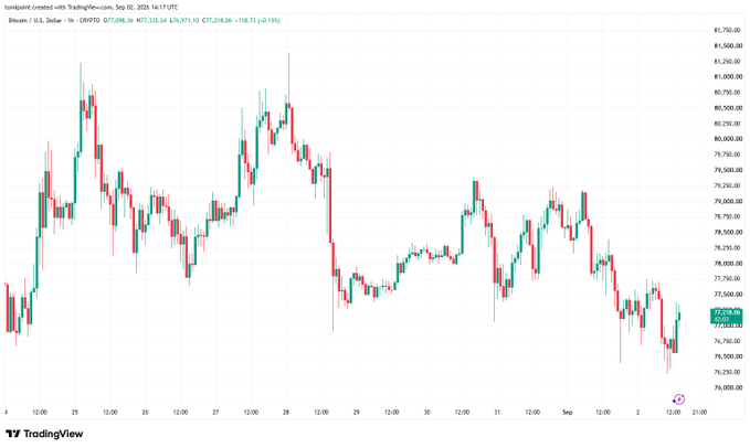 A TradingView 1-hour candlestick chart of BTC/USD showing price action between roughly $75,250 and $81,500 over early September 2024.