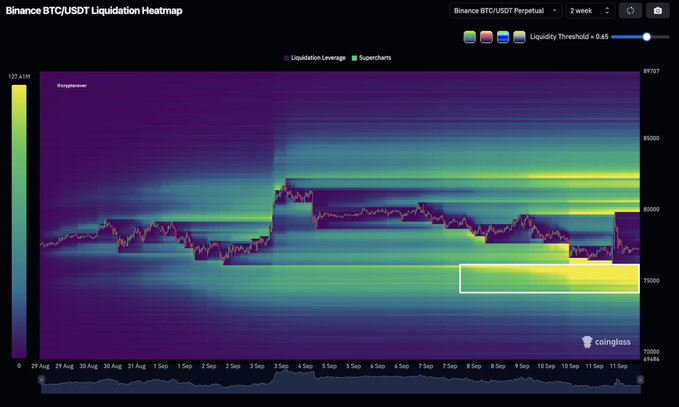 A Binance BTC/USDT Perpetual Liquidation Heatmap from Coinglass shows the 2-week price action of Bitcoin oscillating between roughly $77,000 and $85,000, with a white rectangle highlighting a dense cluster of liquidation leverage (bright yellow/green) near $75,000–$76,000 — visually confirming the post's claim that most upside liquidity has been swept, leaving a large pool of downside liquidity as the next likely target for a liquidity hunt.