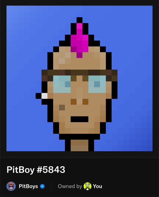 Pixel art NFT titled 'PitBoy #5843' from the PitBoys collection, showing a character with a pink mohawk and glasses against a blue background, owned by the viewer.