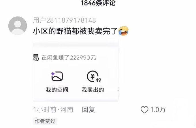 A Chinese social media comment from user 2811879178148 reads "小区的野猫都被我卖完了" (I've sold all the stray cats in the neighborhood) with a laughing emoji, showing they earned 222,990 yuan on 闲鱼 (Xianyu), having sold 49 items, posted 1 hour ago from 河南 (Henan), with 1.0万 likes.