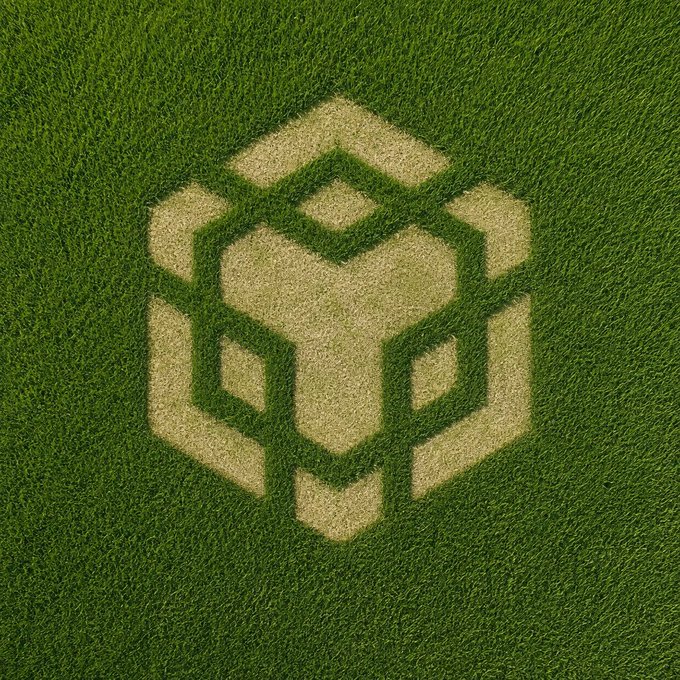 The post jokes about the irony of the person spending time "touching grass" only to immediately turn that grass into a crypto project, as shown by a Binance (BNB) logo pattern mowed into a lawn. The logo's distinctive hexagonal design with the Binance "B" symbol is created by cutting lighter patches into the green grass, humorously merging outdoor activity with cryptocurrency culture.
