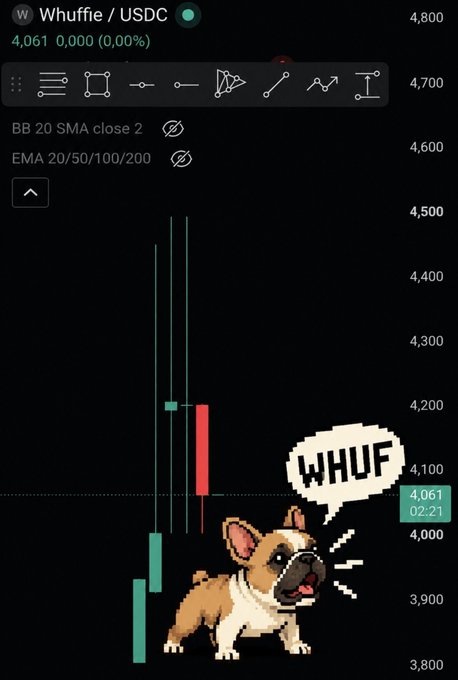 A TradingView-style chart for “Whuffle / USDC” (WHUF) shows a price scale from 3,800 to 4,800, with green volume bars, a teal price label reading “4,061” and “02:21,” and an “EMA 20/50/100/200” overlay noted near the top. The image includes a cartoon dog with a “WHUF” speech bubble, matching the post’s discussion of the $WHUF token unlock and whether liquidity will drive a pump or dump.