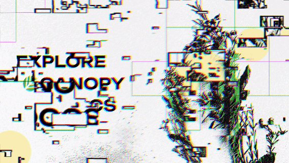 A stylized image shows the words "EXPLORE CNPY" and "OS" alongside a glitch-art rendering of what appears to be a plant or botanical silhouette, tying into the post's focus on the @CNPYNetwork project and its emphasis on builders maintaining control over their ecosystem. The fragmented, digital-distortion aesthetic reflects the post's theme of decentralized networks and community-driven value.