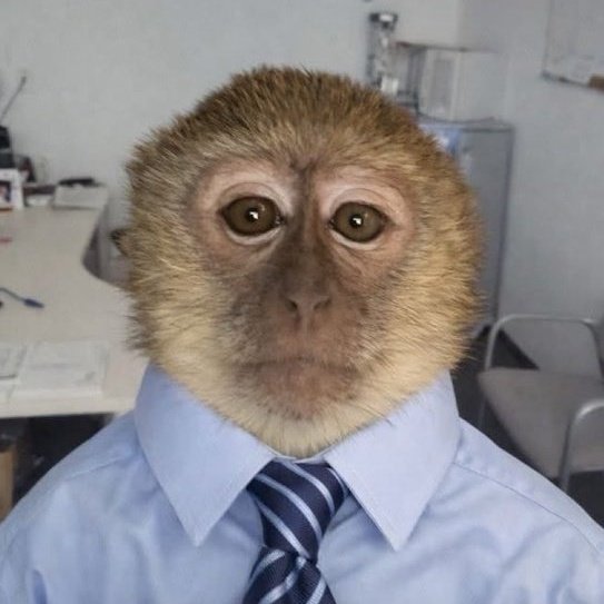 A monkey wearing a blue dress shirt and striped tie appears to be making a serious face, humorously representing someone revealing insider or "behind-the-scenes" knowledge. The image's vibe of a professional primate delivering hidden information playfully matches the post's claim about Litecoin ($LTC) holders using the MWEB encryption to conceal large daily transactions from public view.