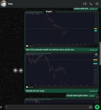 A WhatsApp chat from "Taha" titled "yoksa salla krik" dated 02/29, showing two financial charts labeled "Bugün" (Today) with Turkish captions: "Ada %10 yukarıda hedefi var aklında olsun popçlar için" (ADA has a 10% target above, keep it in mind for pops) and "Peşede de satı çizgi" (Selling line on Pepe too), along with a message "bunlar kesin gelir kesin" (these will definitely come), suggesting trade alerts for ADA and PEPE coins.