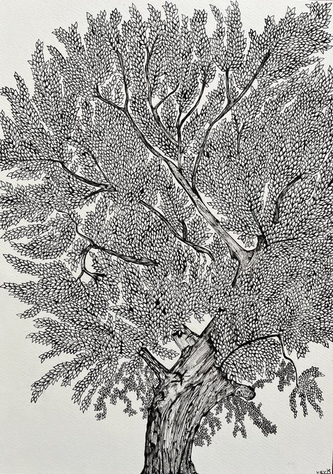 A detailed black ink illustration of a large tree with intricate foliage, gnarled branches, and a thick textured trunk on a white background.