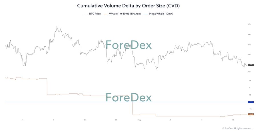 A financial chart titled 'Cumulative Volume Delta by Order Size (CVD)' displaying BTC Price, Whale (1m-10m) (Binance), and Mega Whale (10m+) data lines, watermarked with ForeDex.