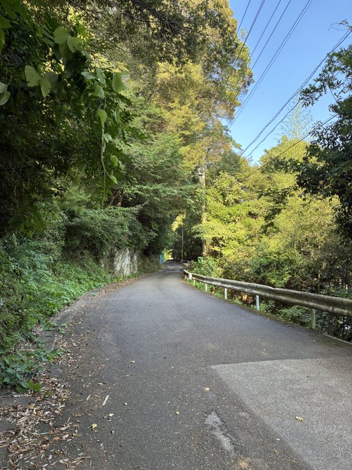 A paved road winds through a lush green forest under a clear blue sky, with power lines overhead and a guardrail on the right.
