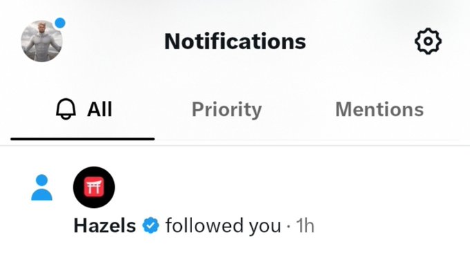 A screenshot of social media 'Notifications' tab showing an 'All' filter selected, with a notification that 'Hazels' followed the user 1 hour ago.
