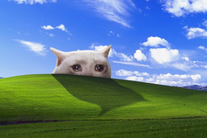 A digitally edited image shows a white cat's eyes and ears peeking over a bright green hill, casting a large cat-shaped shadow across the landscape under a blue sky with clouds.
